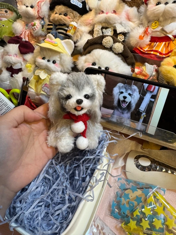 宠物订制 加大或特殊造型