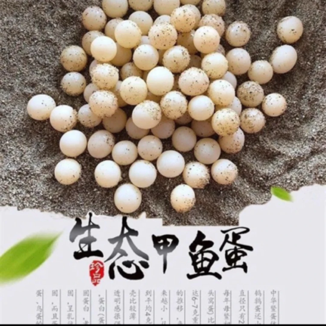 【新鲜甲鱼蛋】100枚送20枚防破损(赠送菜谱)