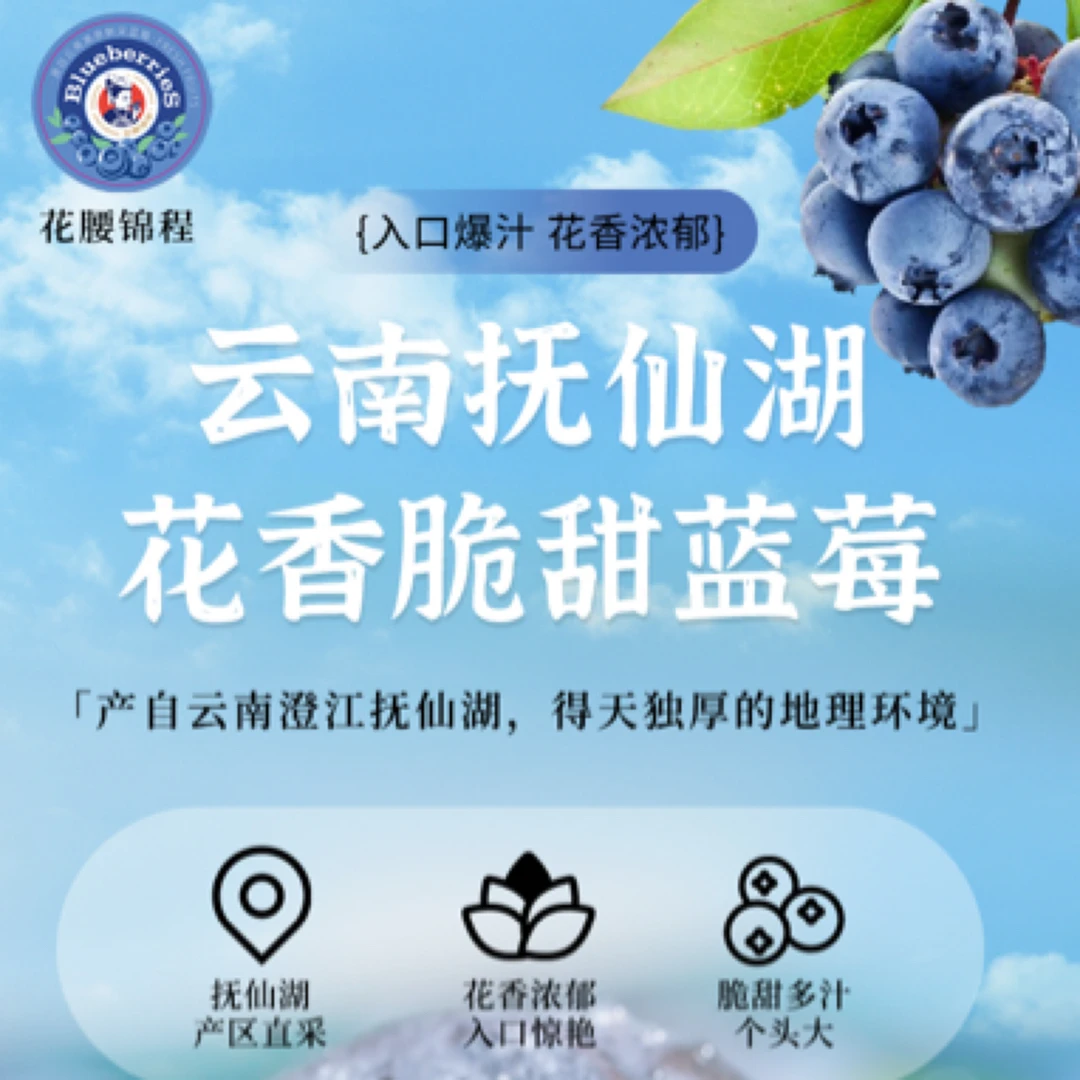 【巨无霸果20-24mm】云南澄江抚仙湖  花香25号蓝莓
