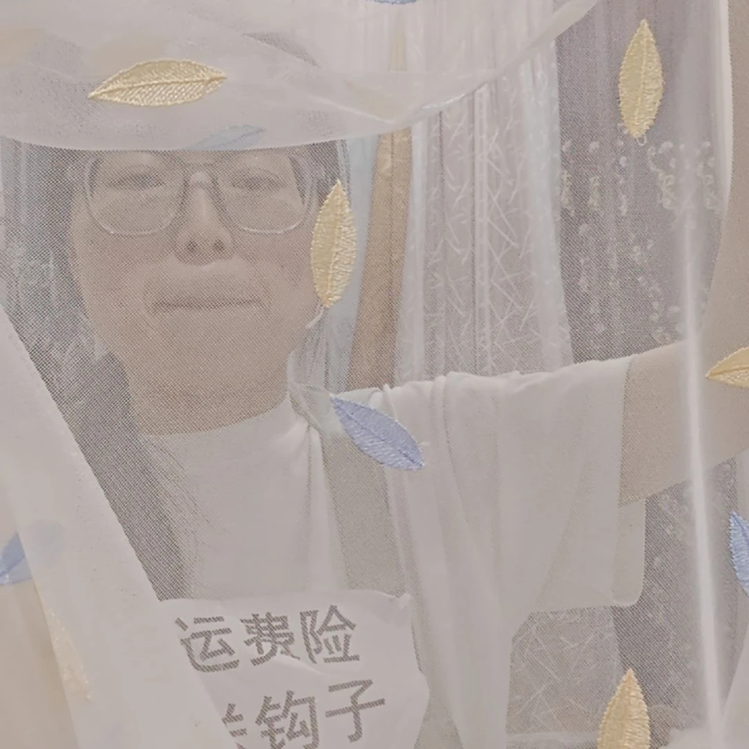 清仓微瑕窗纱处理，介意勿拍