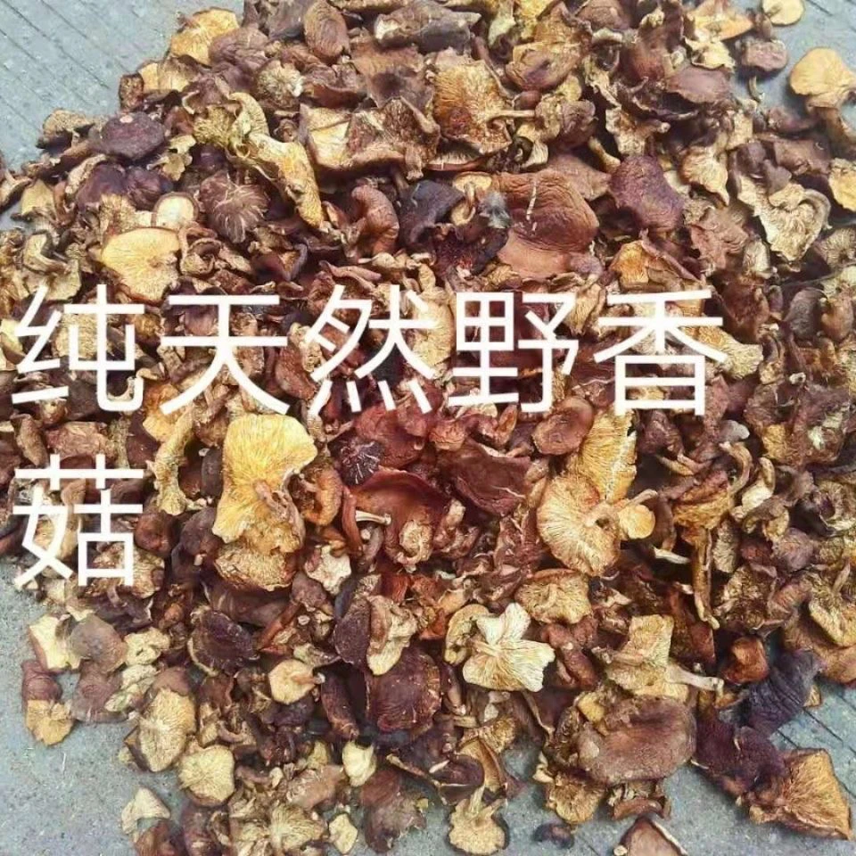 云南高山纯天然香菌