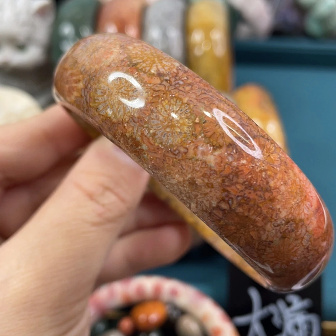 未镶嵌手镯硅化玉