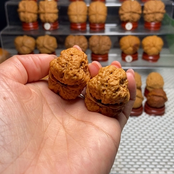 文玩核桃把件6小帝王蟾