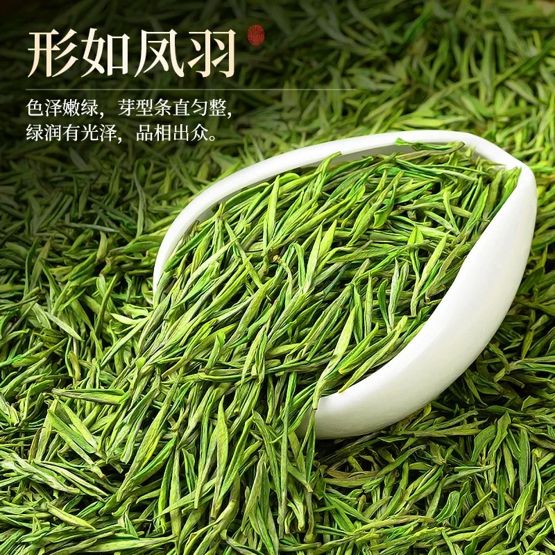 2025年新茶高山安吉白茶明前精品绿茶250g/500g