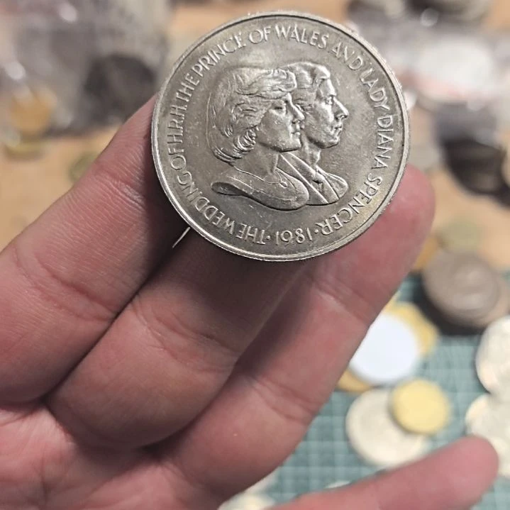 普通金属币果****神流通品相硬币