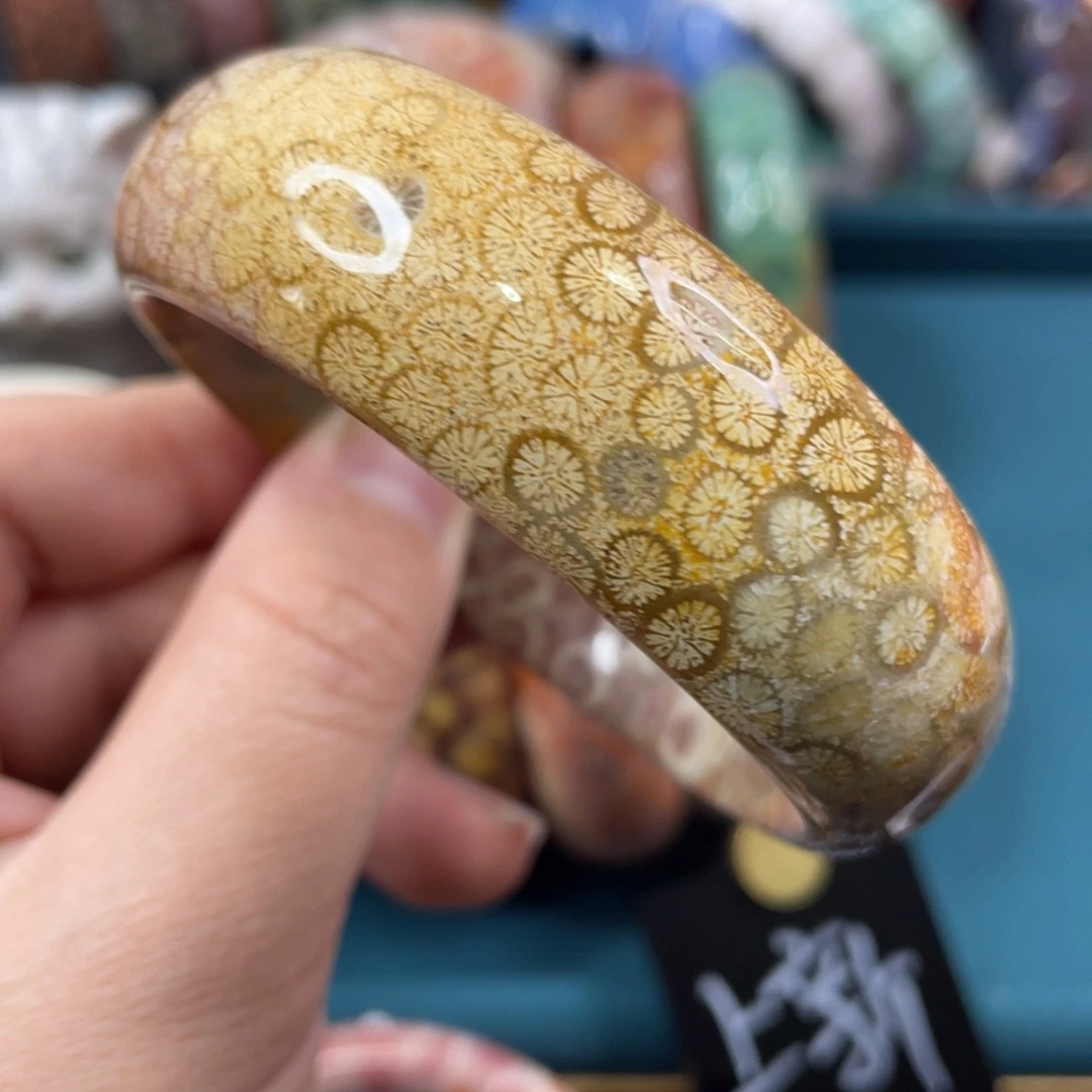 未镶嵌手镯硅化玉