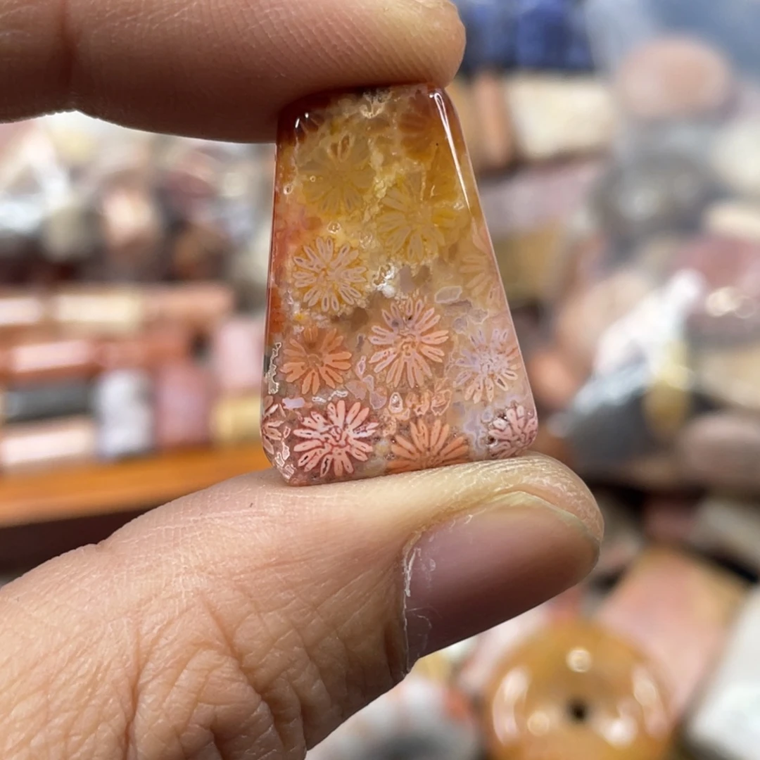 未镶嵌手镯硅化玉