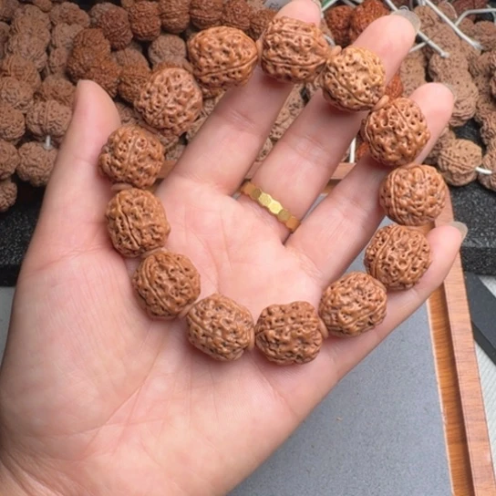菩提15号尼泊尔大金刚异型花生