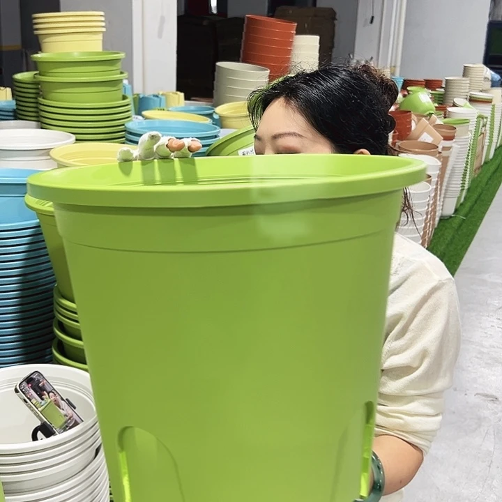 正品圆控口38高34果绿3只无托