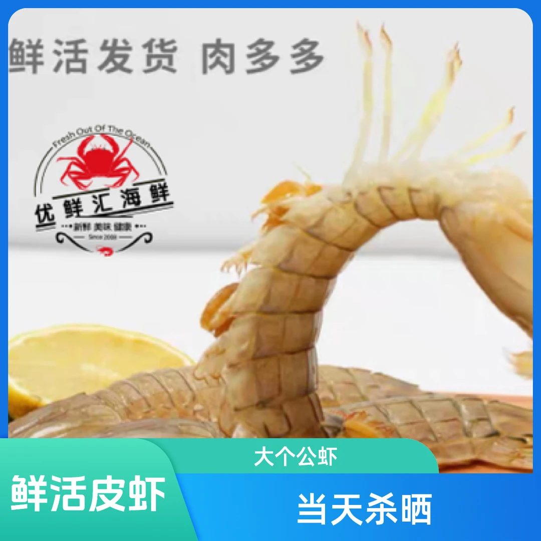 母虾 鲜活皮皮虾 全母1斤