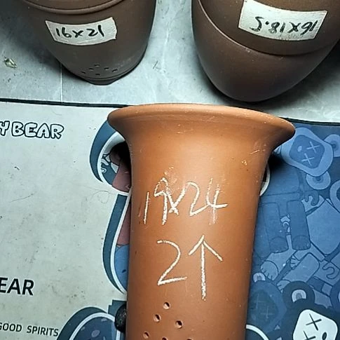 大红兰花两个花盆