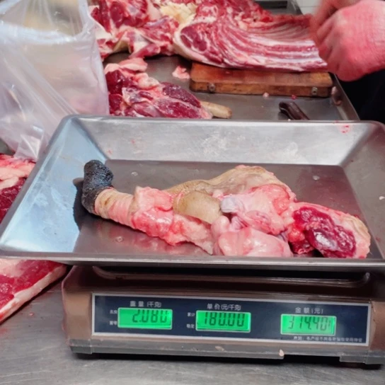 【闪购商品】冷冻保存30天包装河北省火***岛