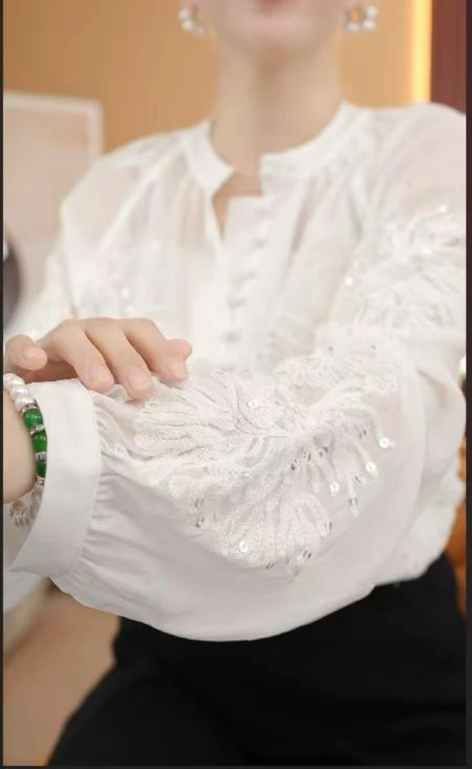 2025年春装新款流行女装上衣小衫微透剪花面料圆领长袖洋气