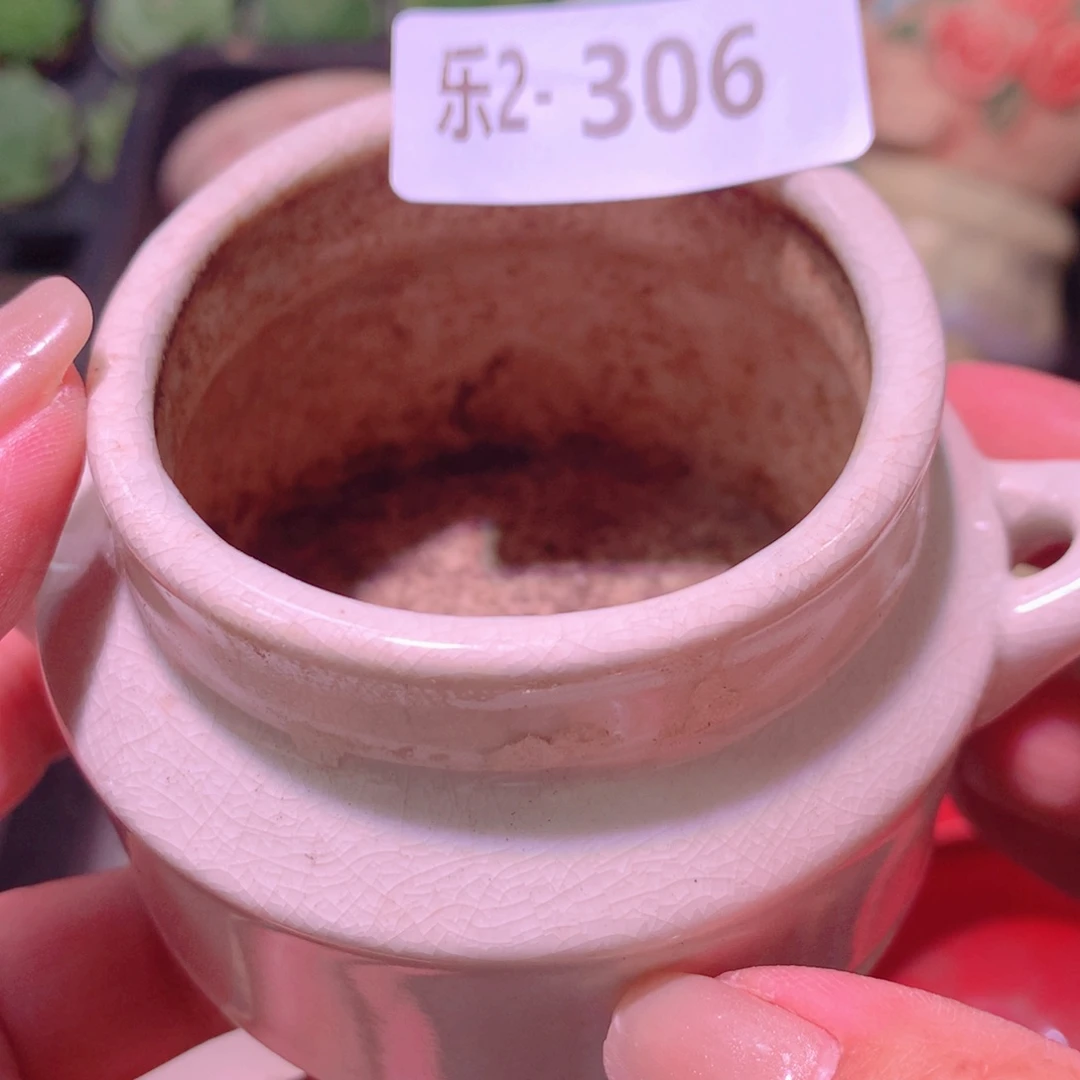 乐然 2-306 花盆一个