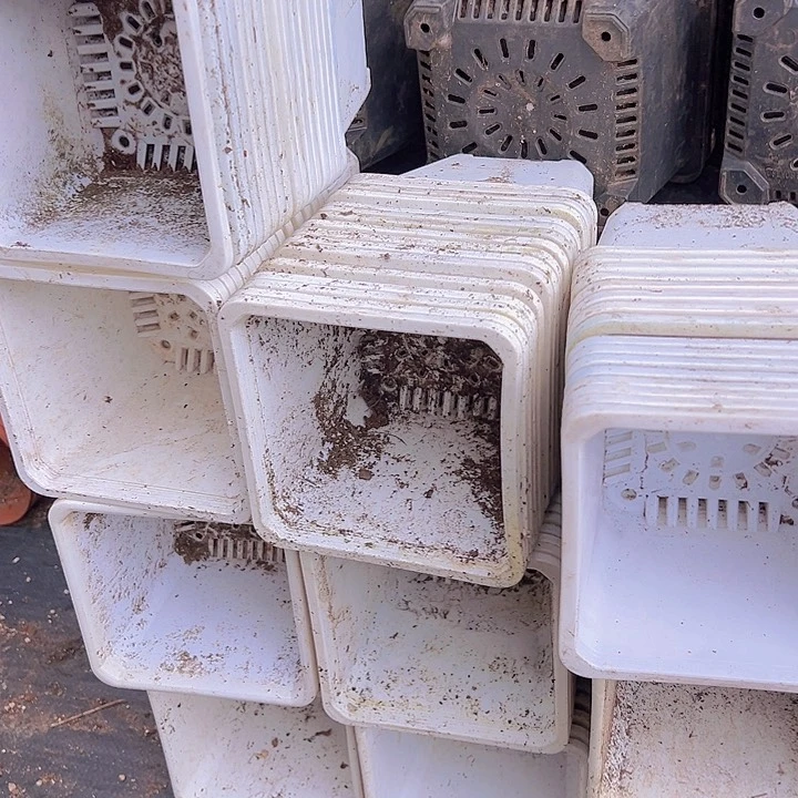 白方口径13.5高11发16个