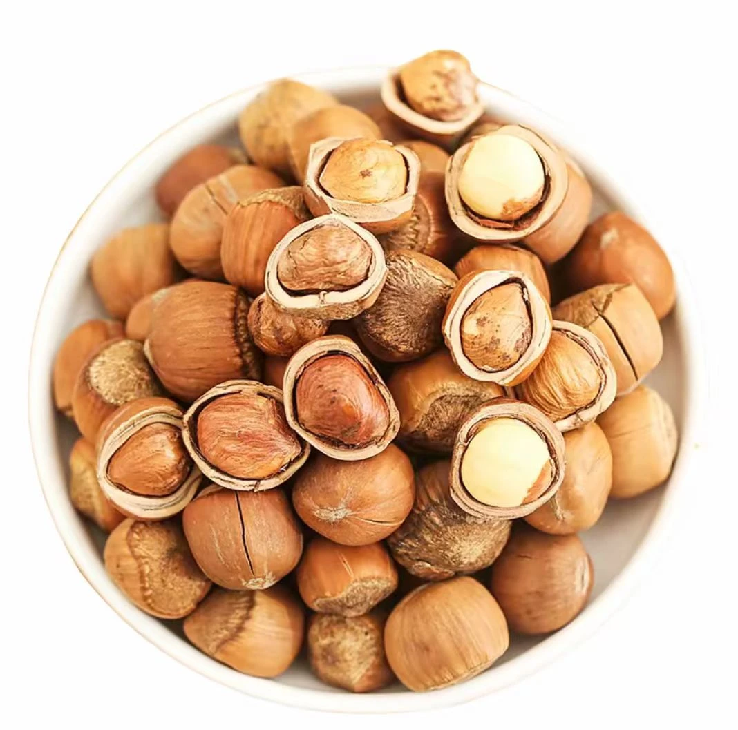 东北野生山榛子（熟）手拍开口榛子直径1.5（特大颗粒）