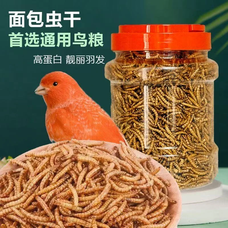 【干虫】面包虫黄粉虫鹦鹉鱼金龙鱼乌龟画眉鸟饲料