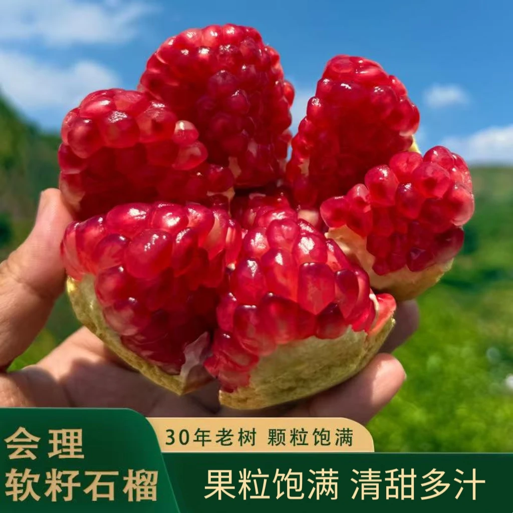 【婷姐专属】正宗会理突尼斯老树软籽石榴会理5/9斤/会理/昆明两仓