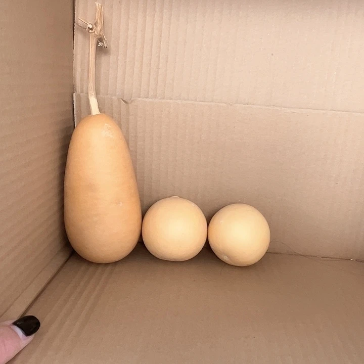 冬瓜葫芦1个 鸡蛋葫芦2个