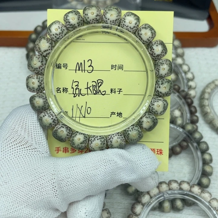 ****胖菩提籽类绿大眼大眼