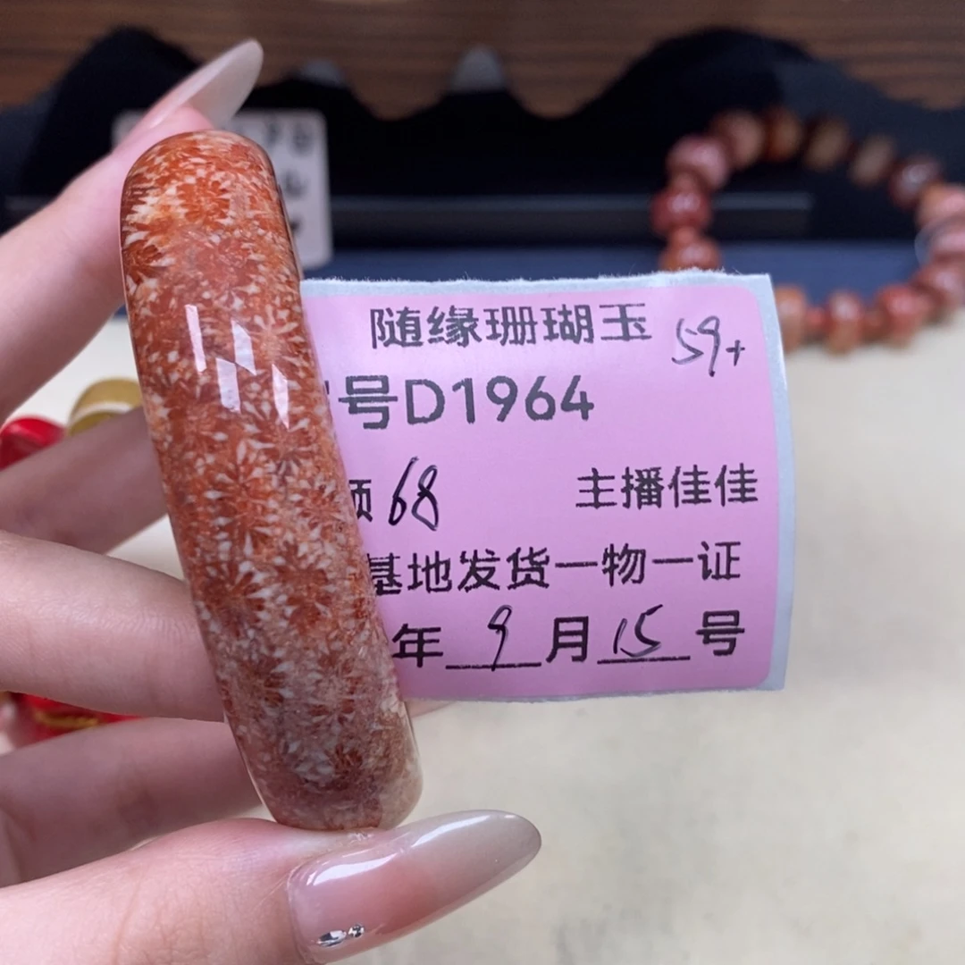 未镶嵌D1964硅化珊瑚（珊瑚玉）想***梦