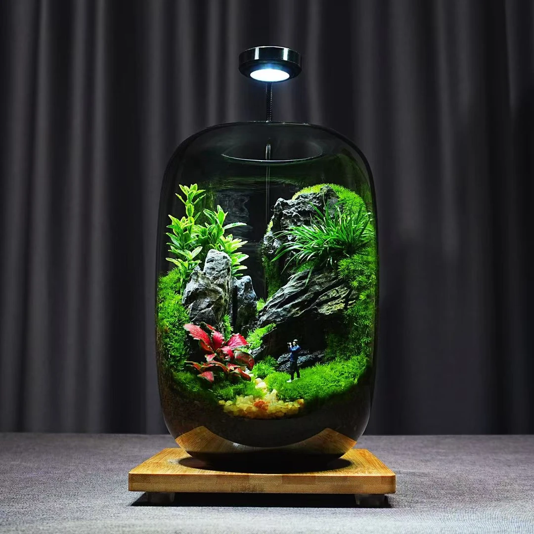 青苔壹品【峰回路转】新款苔藓微景观高端创意绿植成品办公室摆件