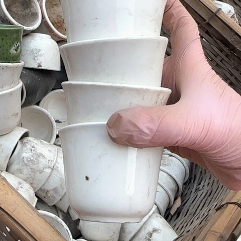 瓷片国营厂库存微瑕一个星标