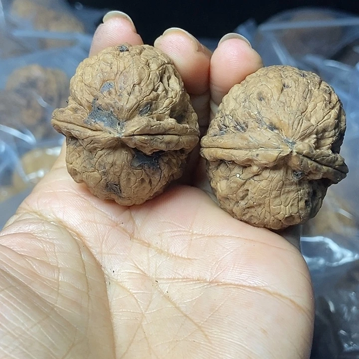 文玩核桃把件云南铁核桃基地29