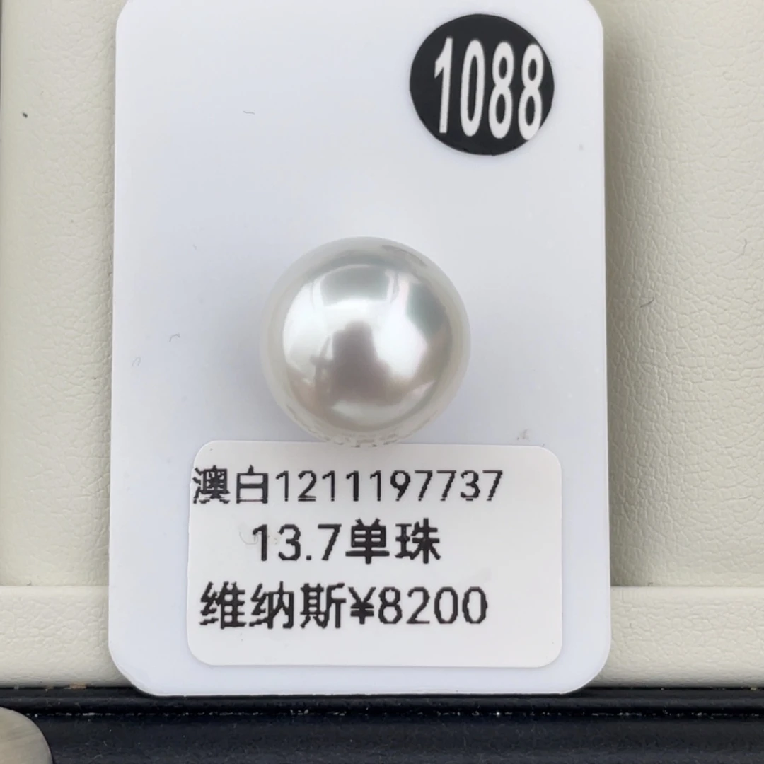 定制海水珍珠未镶嵌耳饰