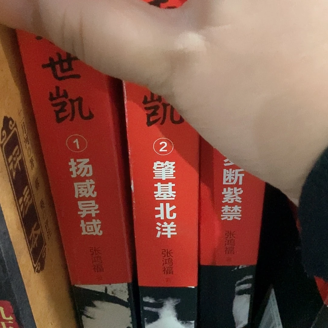 封面划破  袁的三本