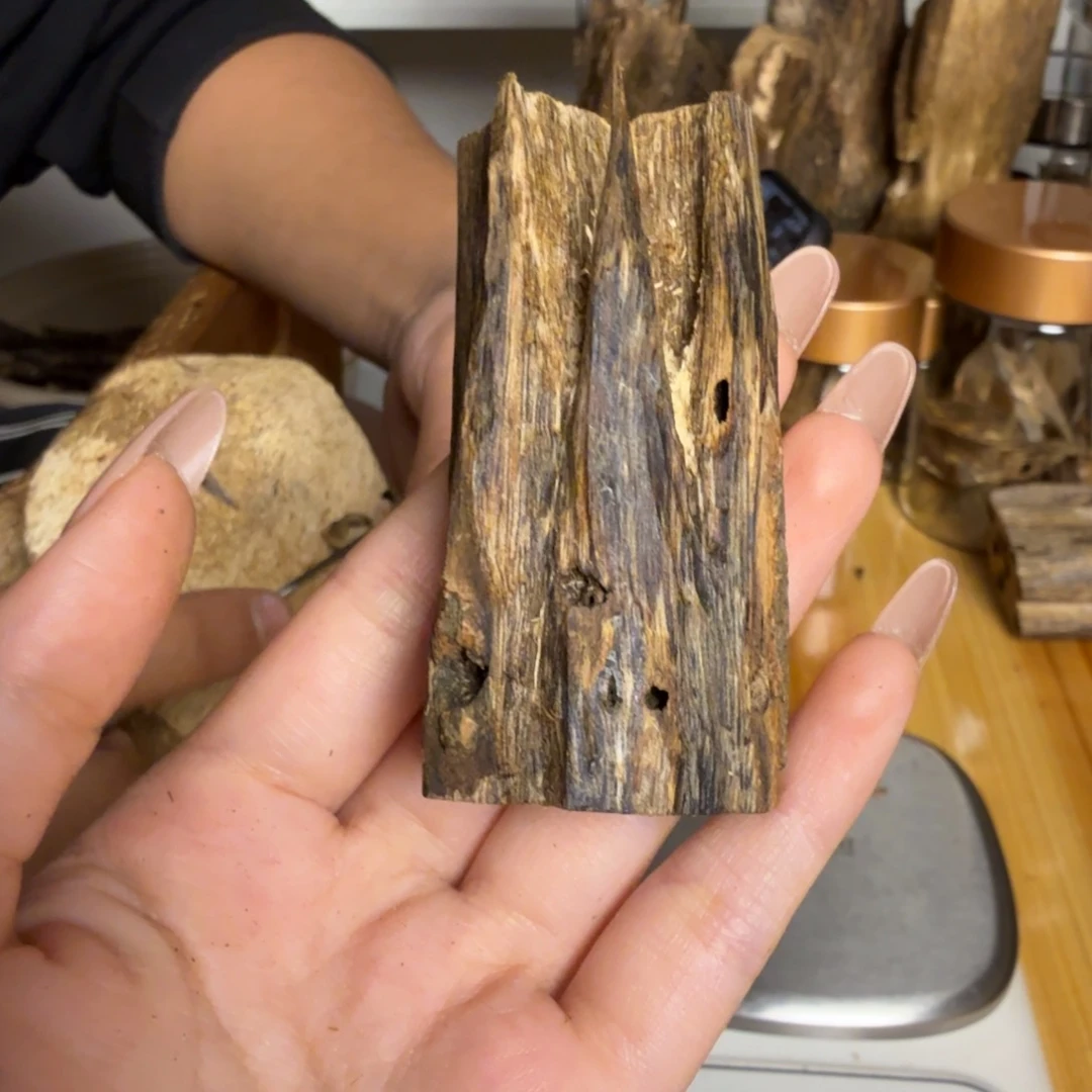 沉香白奇虫漏香16克