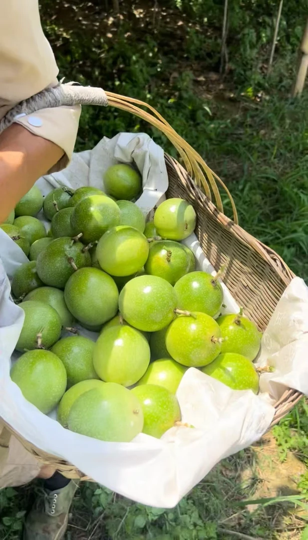 百香果 香甜多汁现摘现发包邮发货