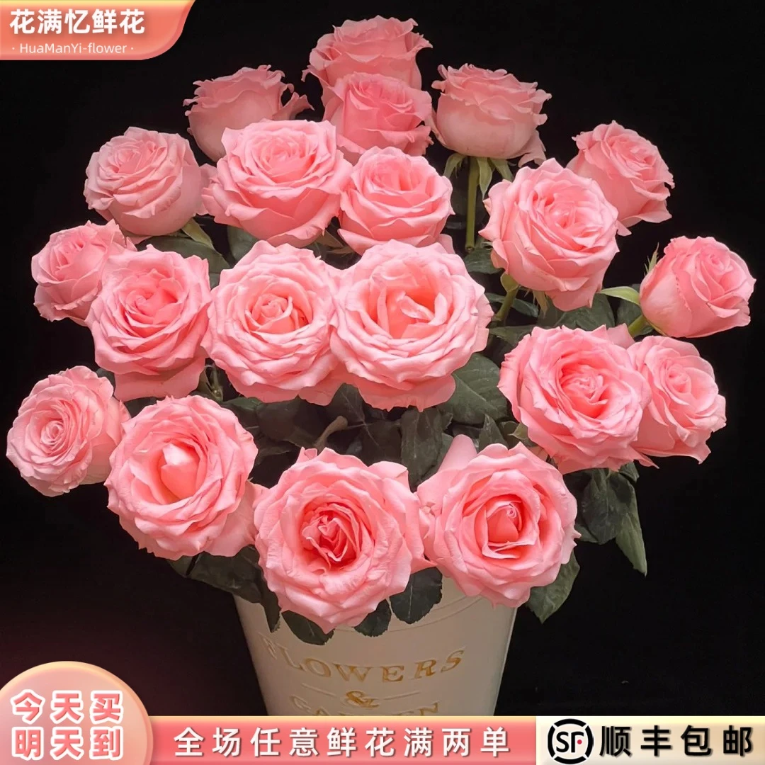 次日达-【戴安娜玫瑰】10枝单头玫瑰鲜花批发直播任意两单升级顺丰包邮三单送随机花瓶一个今天拍明天到97