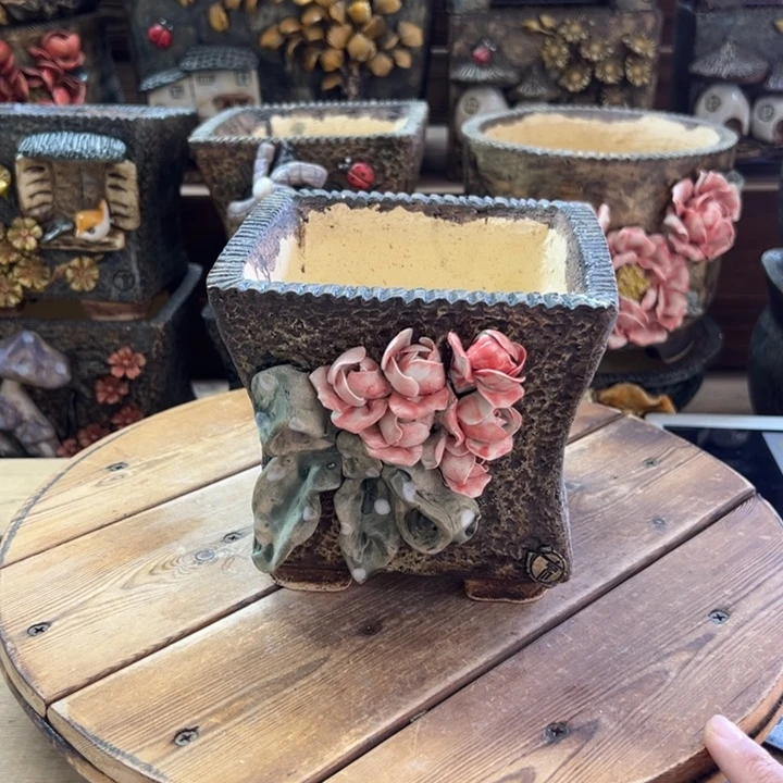 青藤多肉花盆百搭