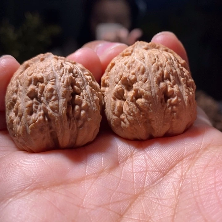 把件文玩核桃东北楸子小路 557