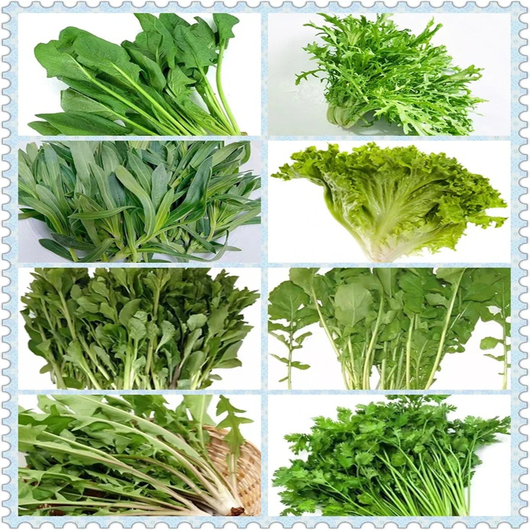 野菜蔬菜火锅八种野菜组合套餐4斤装东北东北蘸酱菜