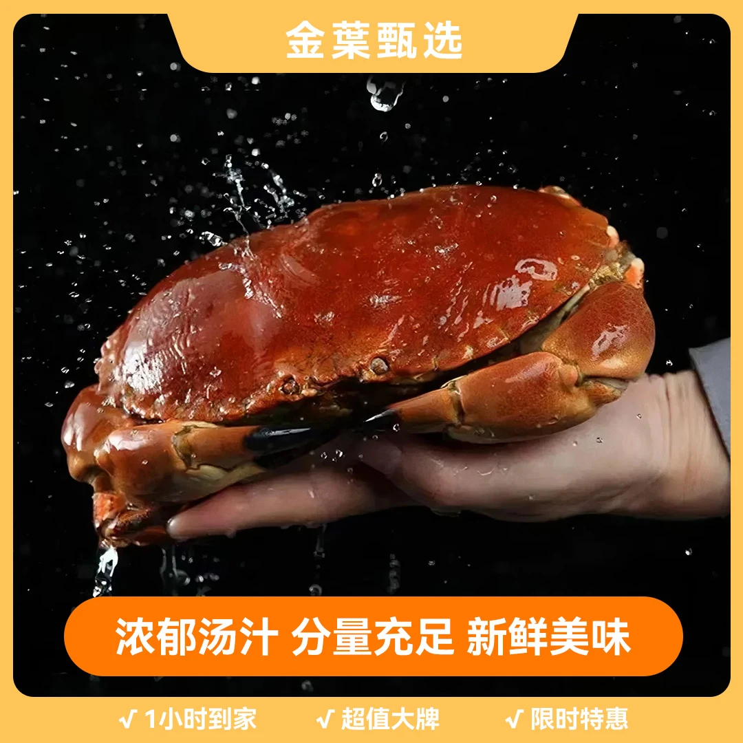 【金叶甄选】海蚬子128/斤