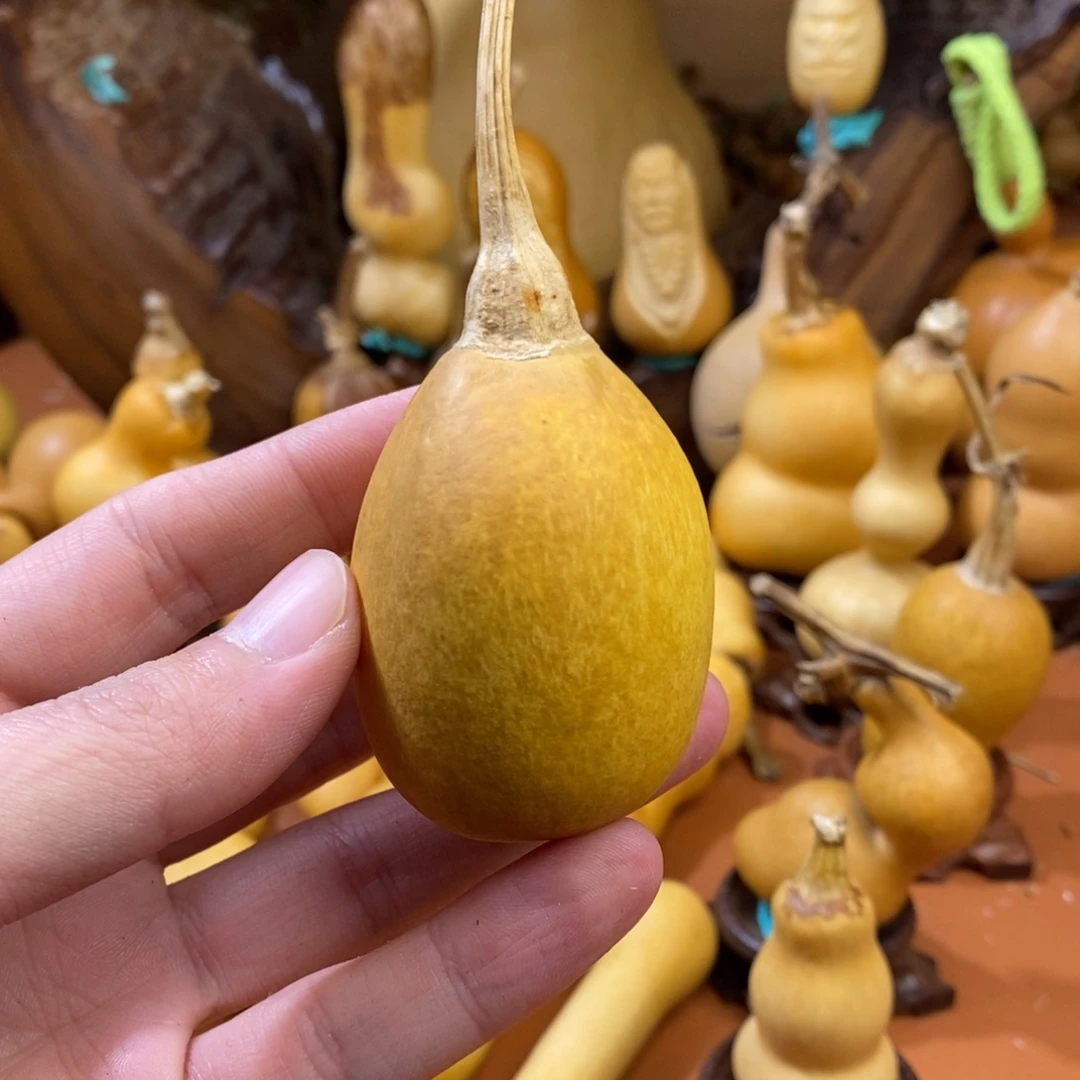 璞***緣啦啦啦啦教练教练