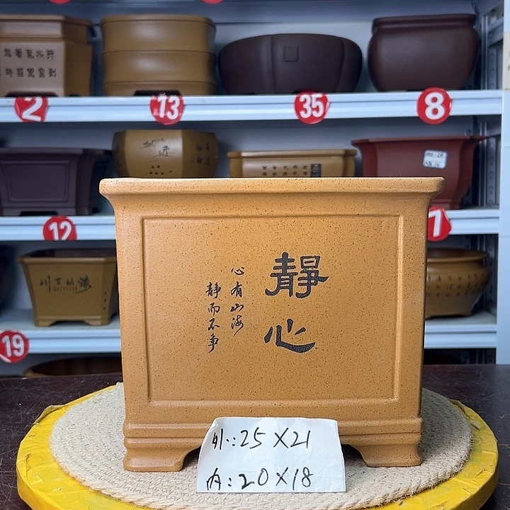 紫砂花盆蛇年大吉