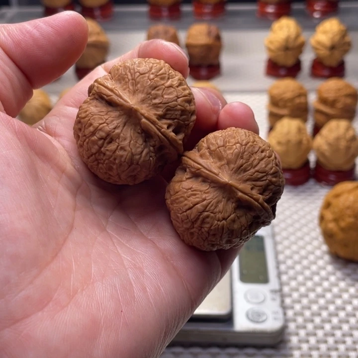 文玩核桃把件43金钱蟒元宝