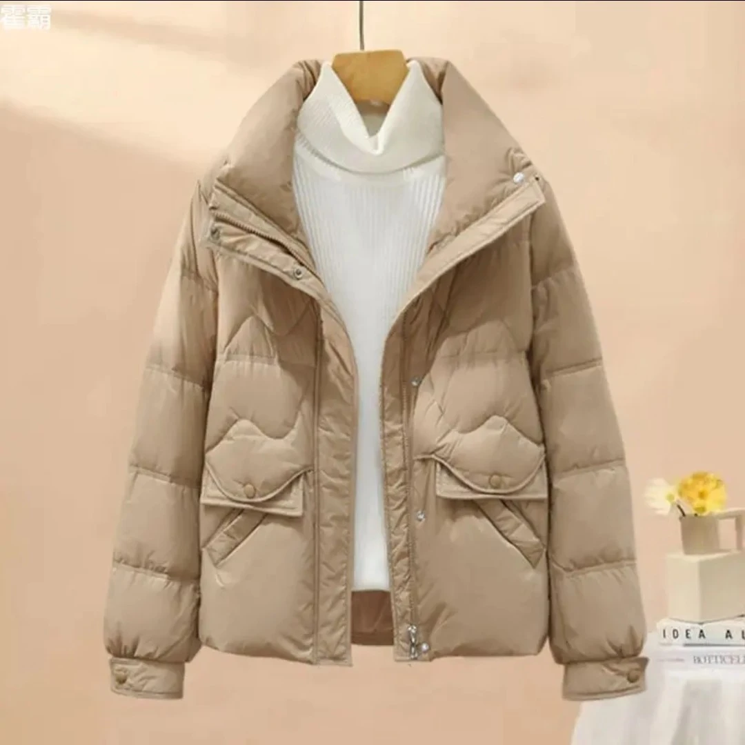 白鸭绒保暖外套 新款轻薄短款立领女士秋冬时尚百搭