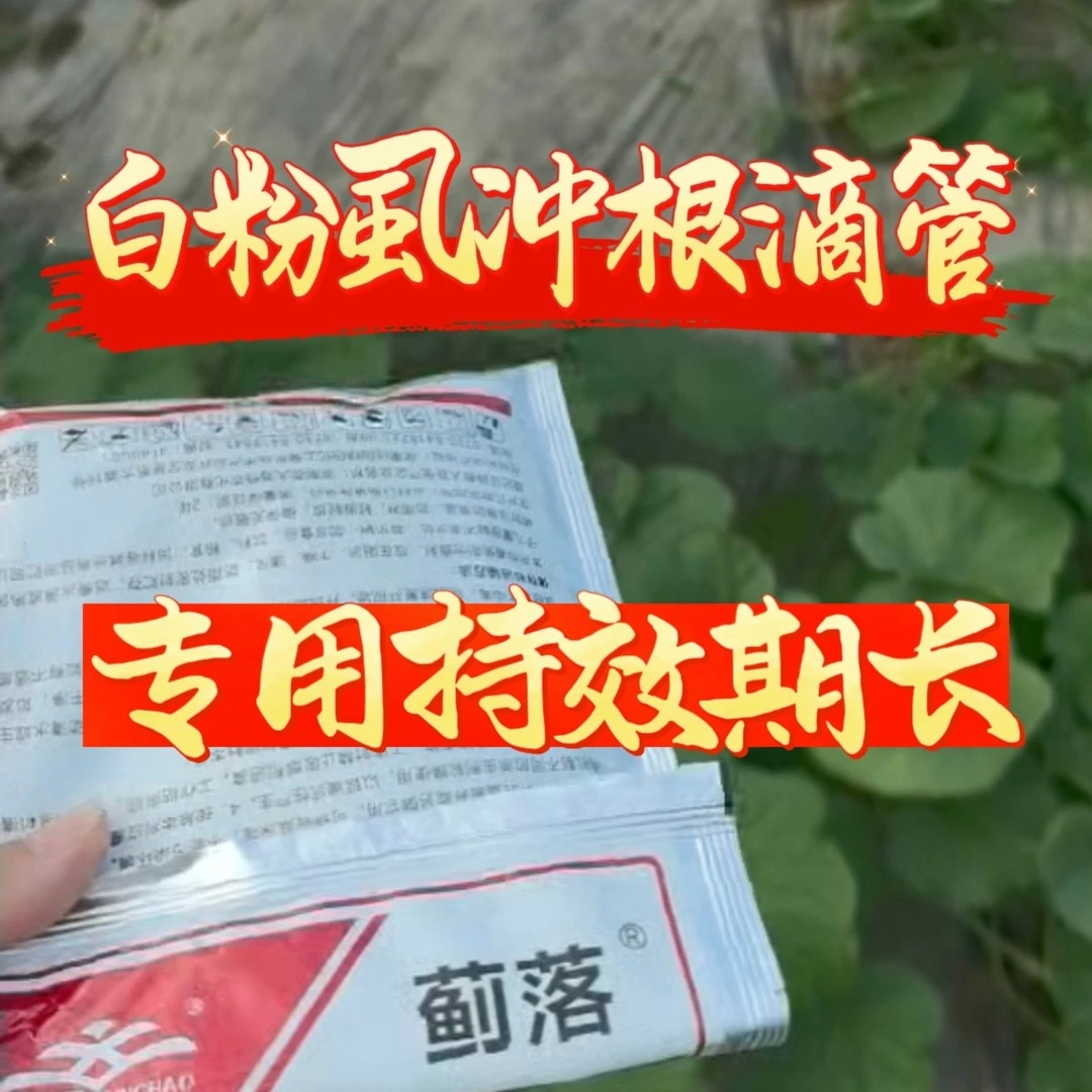 白粉虱专用滴管冲施叶面肥