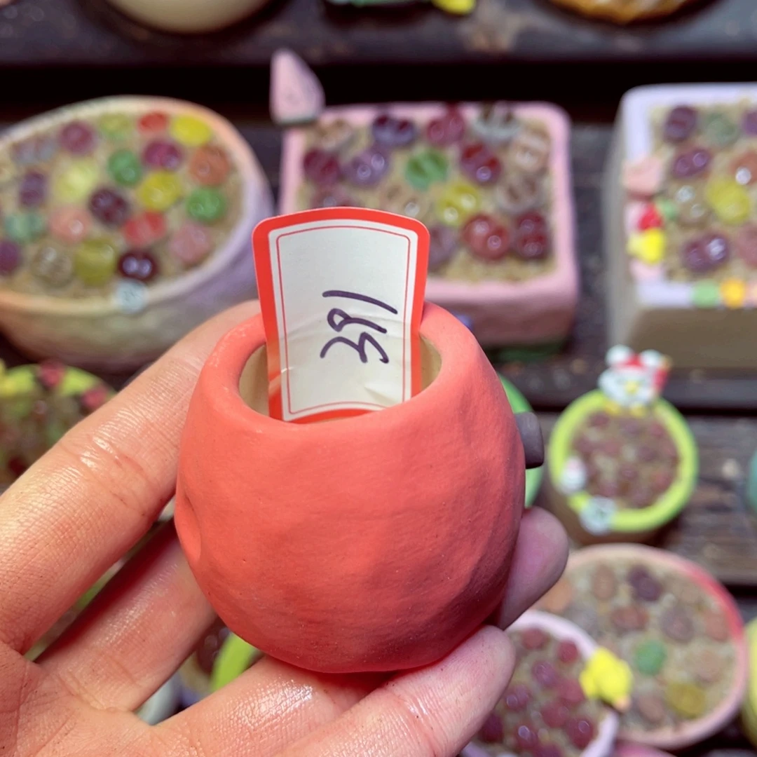 390生石花带盆发1