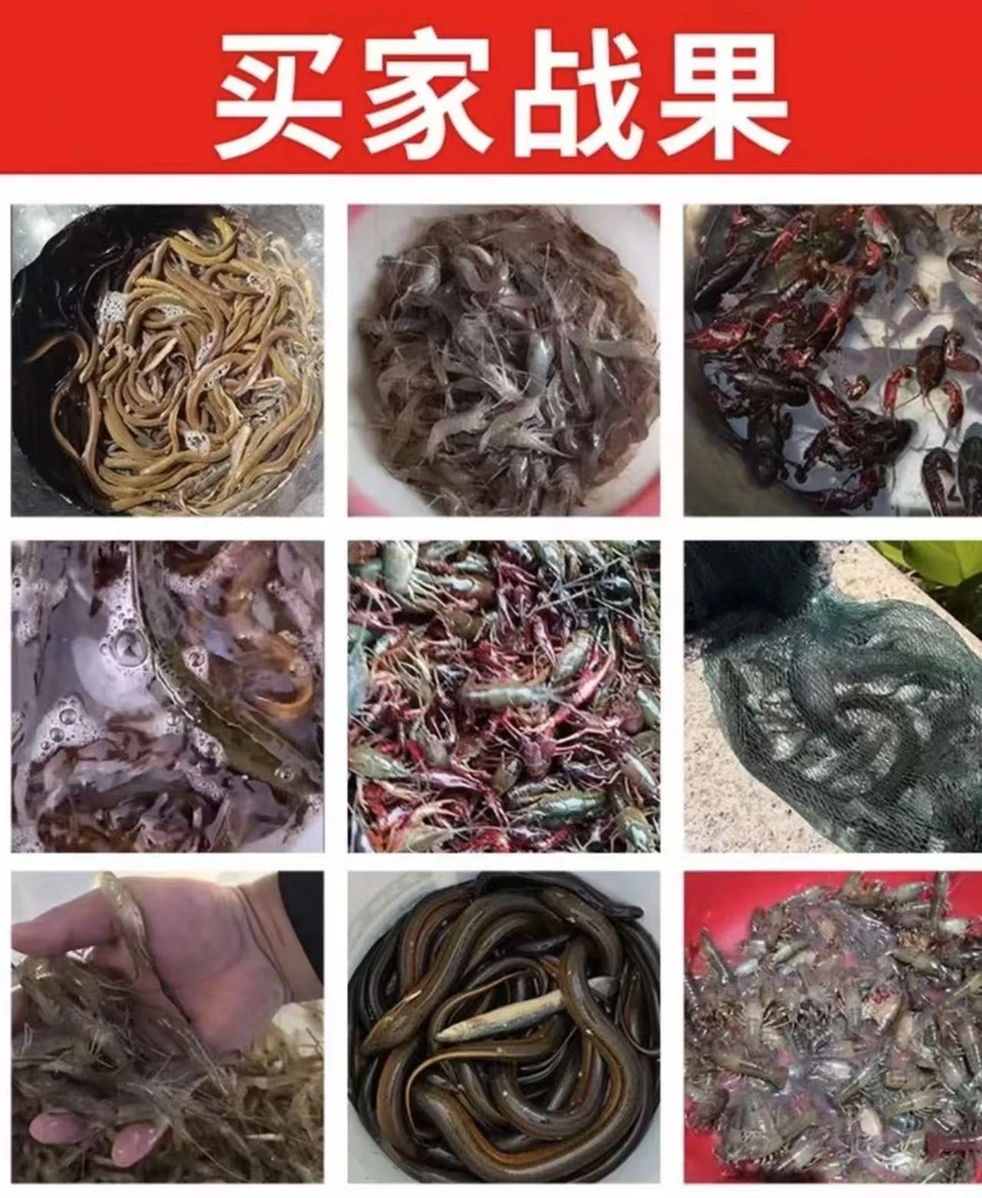 主播同款饵料【拍一发10包】钓鱼抓黄鳝龙虾黑坑江河湖泊