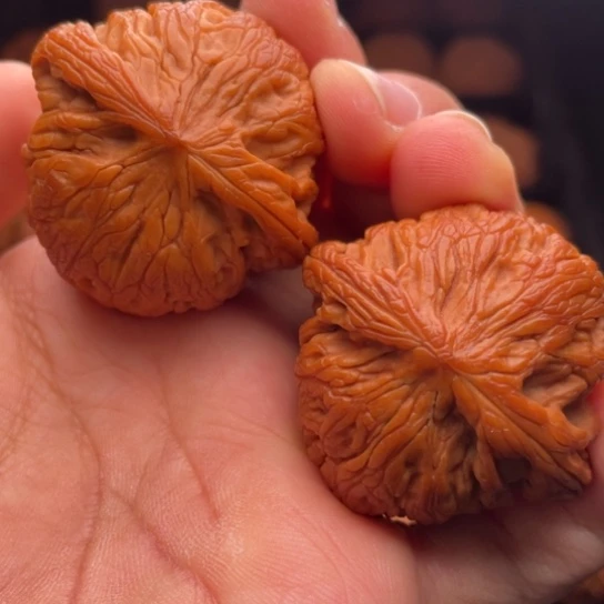 文玩核桃把件秦岭山脉核桃