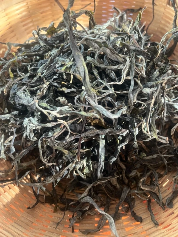 2025年越南水瑶古树纯料（生茶散）