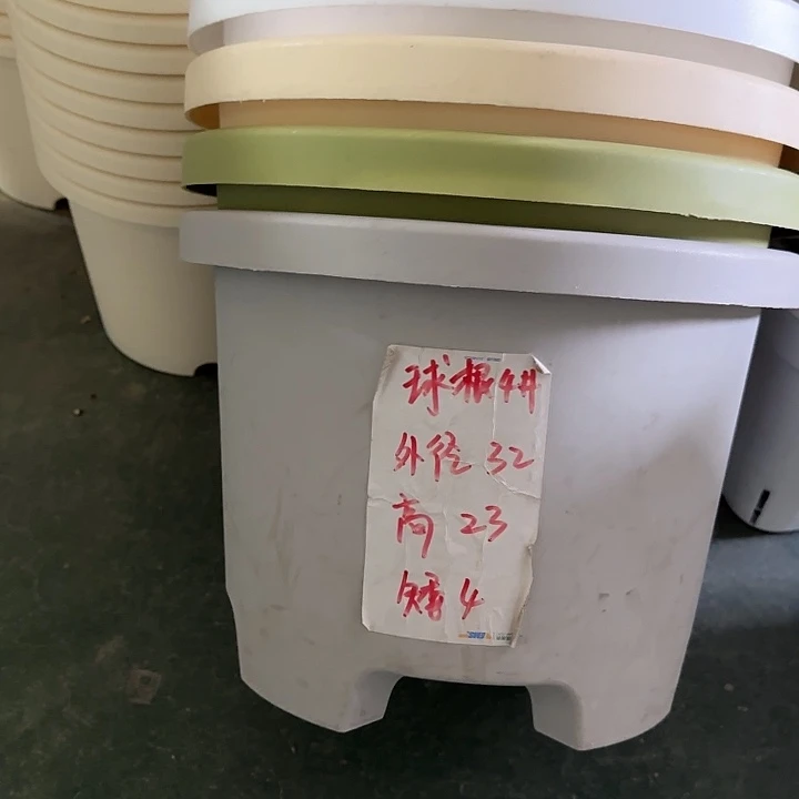 球根4#口径32高23无托灰白5个