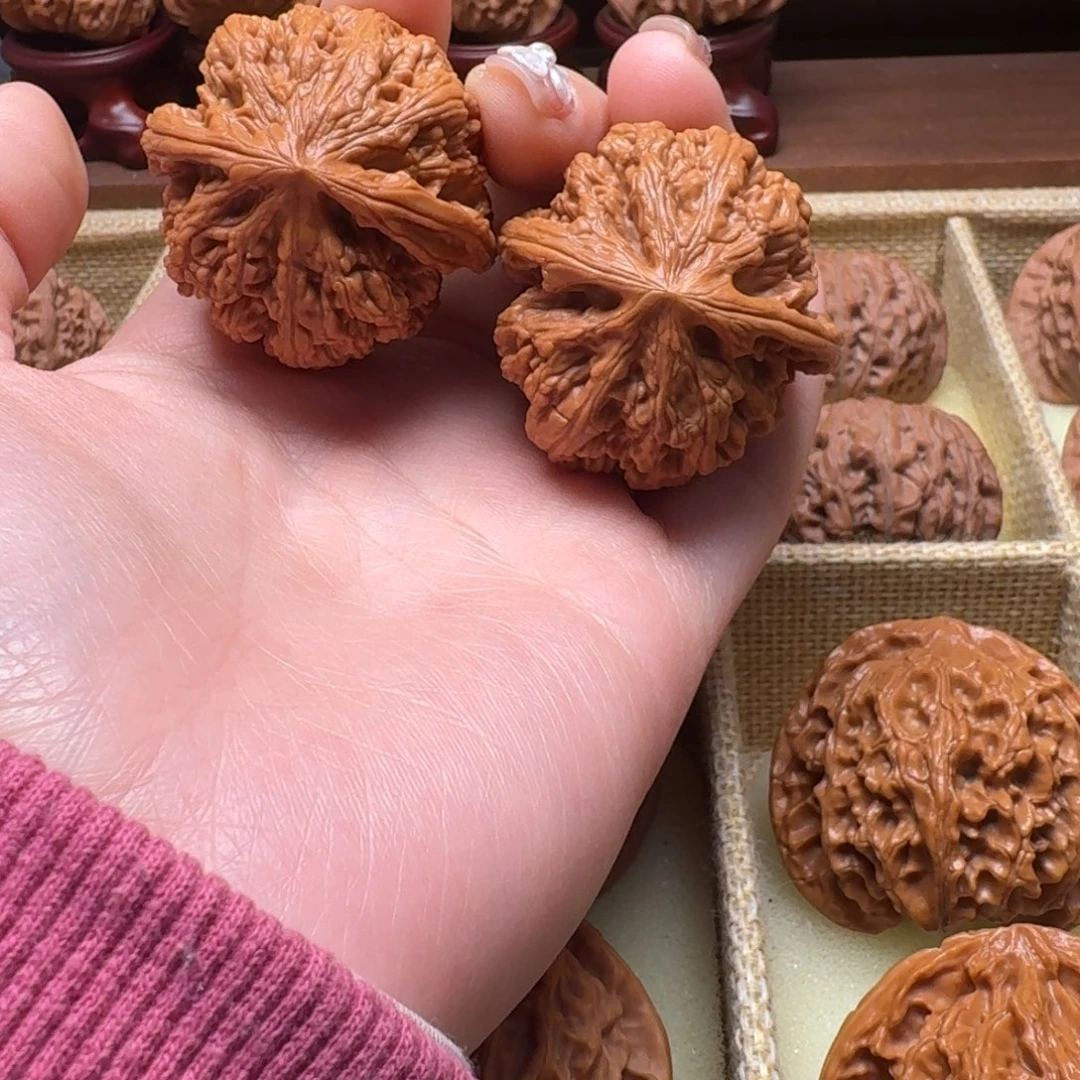 文玩核桃吊坠39粗筋