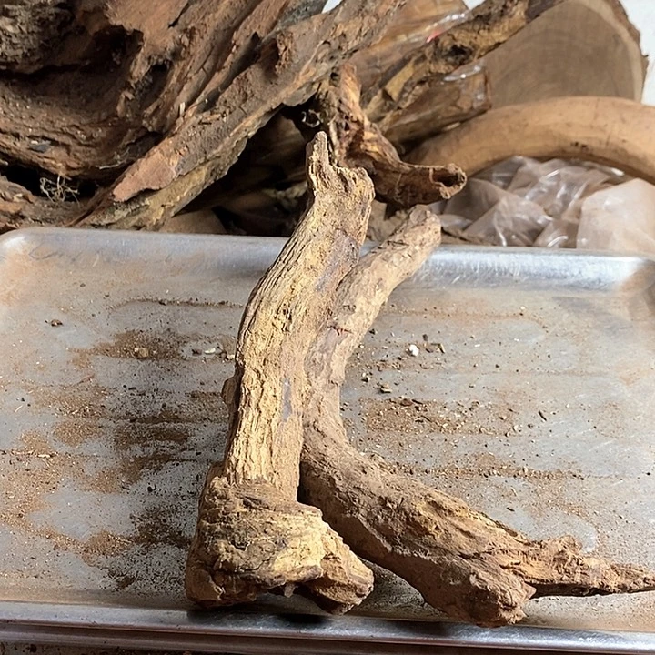 黄花梨/降香黄檀兰*痴