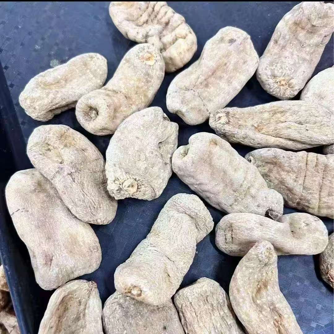 昭通小草坝天麻【川推荐】